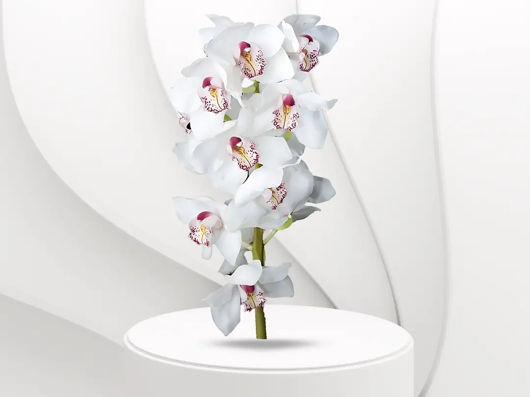 Cymbidium flower